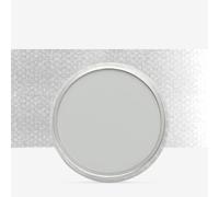 PanPastel : Neutral Grey Tint : Tint 7