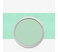 PanPastel : Pearlescent Green