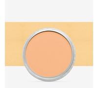 PanPastel : Pearlescent Orange