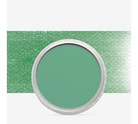 PanPastel Ultra Soft Artist Pastel 9Ml-Permanent Green