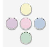 PanPastel 5 Colour Starter Set - Tints Set