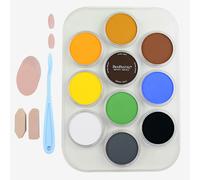 PanPastel : Wildlife Painting With Jason Morgan : Set of 10 Colours : Plus Tools