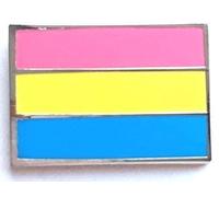 Pansexual LGBT Pride Oblong Flag Enamel Lapel Pin Badge