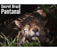 Pantanal: Behind the Scenes