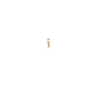 Pantene Miracle Anti Frizz Conditioner 160 ml