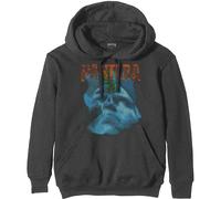 Pantera Unisex Pullover Hoodie Far Beyond Driven World Tour