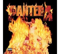 Pantera 'Reinventing The Steel' Vinyl - NEW