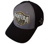 Pantera Skull Band Logo Trucker Baseball Cap One Size