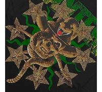 Pantera Skull & Snake Diamante T-Shirt in Black | Size: 2XL Pantera Black 2XL