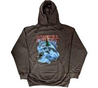 Pantera - hoodies - Unisex - Small - Long Sleeves - 06 - K500z