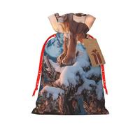 Panther Mountain Lion Drawstring Gift Bags Reusable Gift Wrapping Pouches For Birthday, Wedding, Party Favours & Festive Presents