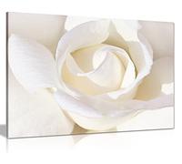 Panther Print, Canvas Prints, Framed Wall Art, Living Room Decoration, Pictures for Bathroom Walls, Large White Rose Floral, Print for Special Occasions (30x20 Inch)