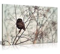 Panther Print Fine Art Prints Autumn Owl In Tree Animal Wildlife Artistic Framed Canvas Print, Pictures for Home Walls, Bedroom, Living Room & Bathroom Decor 46x31cm (18x12in)