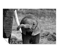 Panther Print Fine Art Prints Black & White Baby Elephant holding Mother's Tusk Close Up Artistic Unframed Poster, Pictures for Home Walls, Bedroom, Living Room & Bathroom Decor 76x51cm (30x20in)