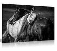 Panther Print Fine Art Prints Black & White Horses Affection Artistic Framed Canvas Print, Pictures for Home Walls, Bedroom, Living Room & Bathroom Decor 91x61cm (36x24in)