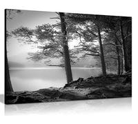 Panther Print Fine Art Prints Black & White Lake Pine trees Artistic Framed Canvas Print, Pictures for Home Walls, Bedroom, Living Room & Bathroom Decor 76x51cm (30x20in)