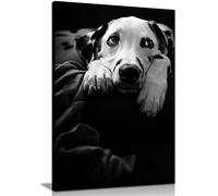 Panther Print Fine Art Prints Black & White Resting Dalmatian Dog Portrait Artistic Framed Canvas Print, Pictures for Home Walls, Bedroom, Living Room & Bathroom Decor 46x31cm (18x12in)