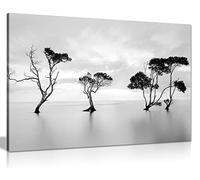 Panther Print Fine Art Prints Black & White Trees on Calm Water Artistic Framed Canvas Print, Pictures for Home Walls, Bedroom, Living Room & Bathroom Decor 61x41cm (24x16in)