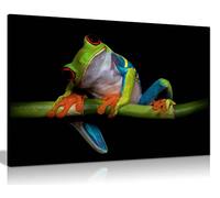 Panther Print Fine Art Prints Colorful Red-eyed Frog Portrait Nature Artistic Framed Canvas Print, Pictures for Home Walls, Bedroom, Living Room & Bathroom Decor 46x31cm (18x12in)