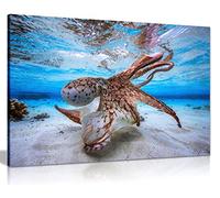 Panther Print Fine Art Prints Dancing Octopus Underwater Artistic Framed Canvas Print, Pictures for Home Walls, Bedroom, Living Room & Bathroom Decor 46x31cm (18x12in)