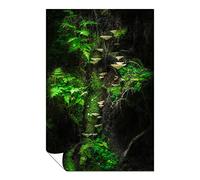 Panther Print Fine Art Prints Green Ferns & Tree Mushrooms Artistic Unframed Poster, Pictures for Home Walls, Bedroom, Living Room & Bathroom Decor 31x20cm (12x8in)