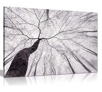 Panther Print Fine Art Prints Monochrome Black & White Tree Trunks in a Foggy Forest Artistic Framed Canvas Print, Pictures for Home Walls, Bedroom, Living Room & Bathroom Decor 46x31cm (18x12in)