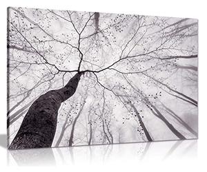 Panther Print Fine Art Prints Monochrome Black & White Tree Trunks in a Foggy Forest Artistic Framed Canvas Print, Pictures for Home Walls, Bedroom, Living Room & Bathroom Decor 46x31cm (18x12in)