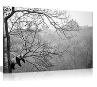 Panther Print Fine Art Prints Panda Relaxing on a Tree Wildlife Artistic Framed Canvas Print, Pictures for Home Walls, Bedroom, Living Room & Bathroom Decor 61x41cm (24x16in)