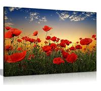 Panther Print Fine Art Prints Red roses on a summer's dawn Artistic Framed Canvas Print, Pictures for Home Walls, Bedroom, Living Room & Bathroom Decor 46x31cm (18x12in)