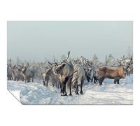 Panther Print Fine Art Prints Reindeers in Winter Snow Artistic Unframed Poster, Pictures for Home Walls, Bedroom, Living Room & Bathroom Decor 61x41cm (24x16in)