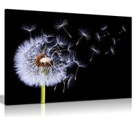 Panther Print Fine Art Prints White Dandelion Blossom Wind Blown Artistic Framed Canvas Print, Pictures for Home Walls, Bedroom, Living Room & Bathroom Decor 76x51cm (30x20in)