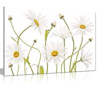 Panther Print Fine Art Prints White Ox Eye Daisies Flower Floral Garden Artistic Framed Canvas Print, Pictures for Home Walls, Bedroom, Living Room & Bathroom Decor 91x61cm (36x24in)