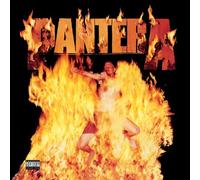 Panther - Reinventing The Steel LP Vinyl RHINO RECORDS