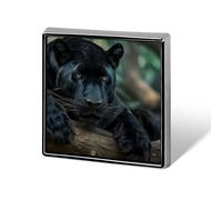 Panthers Male Cute Brooches for Women Men Square Pins Badge for Backpack Hat