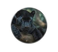 Panthers Male Cute Fridge Magnets Metal Colorful Refrigerator Magnet Office Home Decor