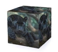 Panthers Male Funny 3-D Puzzles Speed Cube for Adults