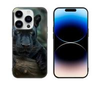 Panthers Male Glass Phone Case Suitable for iPhone 14 Series