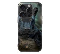 Panthers Male Glass Phone Case Suitable for iPhone 15 Series