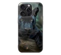 Panthers Male Glass Phone Case Suitable for iPhone 15 Series