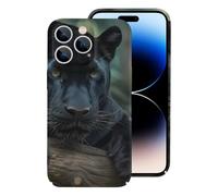 Panthers Male Printed Phone Case Slim Hard Cellphone Protective Cover Unisex Compatible with iPhone 14/14 Plus/14 Pro/14 Pro Max