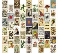 PANTIDE 50Pcs Botanical Illustration Tarot Aesthetic Pictures Wall Collage Kit Trendy Small Poster for Dorm Vintage Style Art Print Photo Collection Bedroom Shop Office Wall Decor for Teens Boys Girls