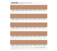 PANTONE LNDS-1PK-D50 Lighting Indicator Stickers D50, Multicolor