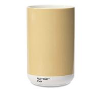 PANTONE Porcelain Vase with Gift Box, Jar, Decorative Flower Vase, 1 Litre, Cream 7501 C