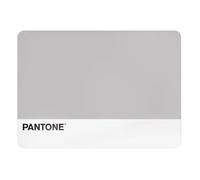 PANTONE™ - Waterproof Rectangular Plastic Breakfast Placemat, Stain Resistant Tablecloth Small 45 x 30 cm, Non-Slip, American Breakfast Placemats, Hand-Washable Kitchen Accessories, Space-Saving