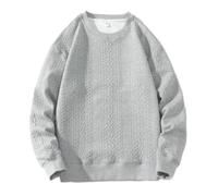 PANVER Men'S Sweatshirt Regular Fit Casual Fashion Round Neck Pullover Youth Personality Trend Long-Sleeved Sweatshirts E-Grey M