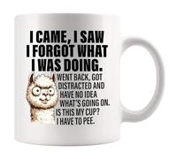 Panvola I Came I Saw I Forgot What I Was Doing Old People Elderly Gifts Women Mom Men Grandpa Grandma 70th 80th 90th Birthday Senior Citizen Gifts People with Dementia Ceramic Mug White 11 oz