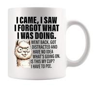 Panvola I Came I Saw I Forgot What I was Doing Old People Gift Mug 11oz