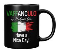 Panvola Vaffanculo Is Italian For Have A Nice Day Funny Italian Gift For Coworker Friends Sister Brother Family in Italy Coffee Ceramic Mug Novelty Drinkware (Black, 11 oz)