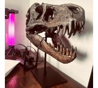 PANYIXUAN Dinosaur Skull Model, T Rex Figure Resin Skull Sculptures with Holder for Home Office Decor Shelf Display
