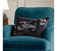 Paoletti Atlantica Embroidered Velvet Polyester Filled Cushion - Black - 40x60cm